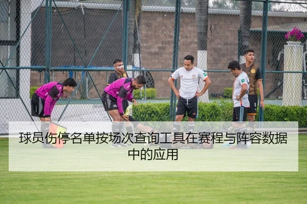 球员伤停名单按场次查询工具在赛程与阵容数据中的应用